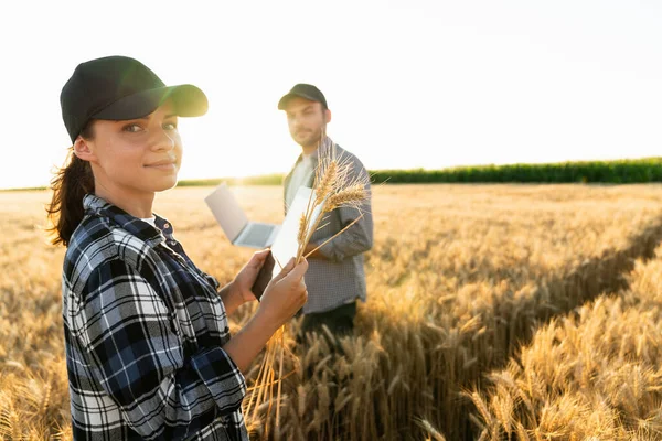 Couple Farmers Examines Field Cereals Sends Data Cloud Digital Tablet —  Fotos de Stock