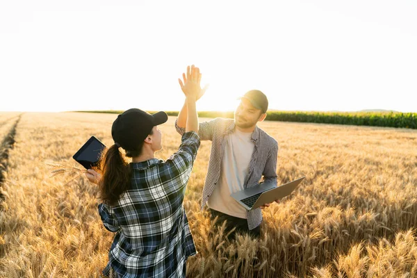 Farmers Man Woman Tablet Laptop High Five Wheat Field Sunset — ストック写真