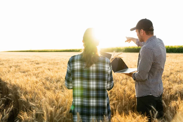 Couple Farmers Examines Field Cereals Sends Data Cloud Digital Tablet — ストック写真