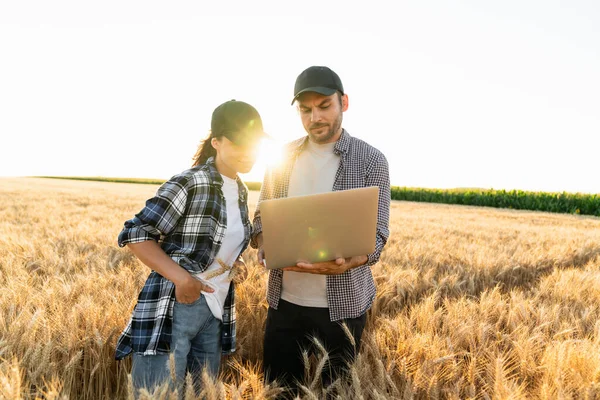 Couple Farmers Examines Field Cereals Sends Data Cloud Digital Tablet — 스톡 사진