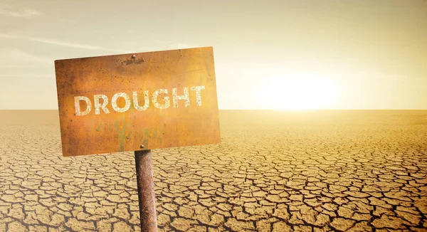 Zrezivělá Cedule Nápisem Drought Pozadí Pouště Popraskanou Půdou — Stock fotografie