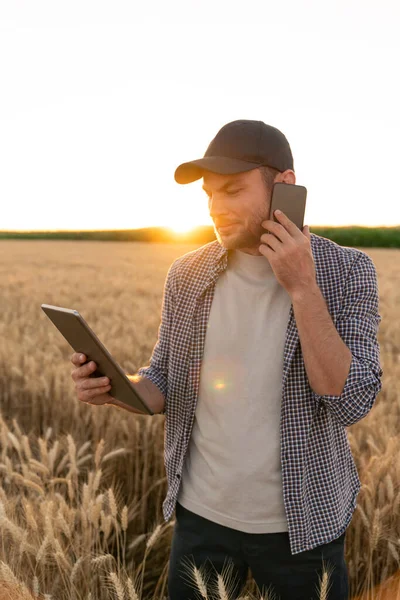 Bearded farmer with mobile phone and digital tablet in agricultural field at sunset