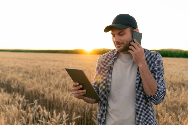 Bearded farmer with mobile phone and digital tablet in agricultural field at sunset