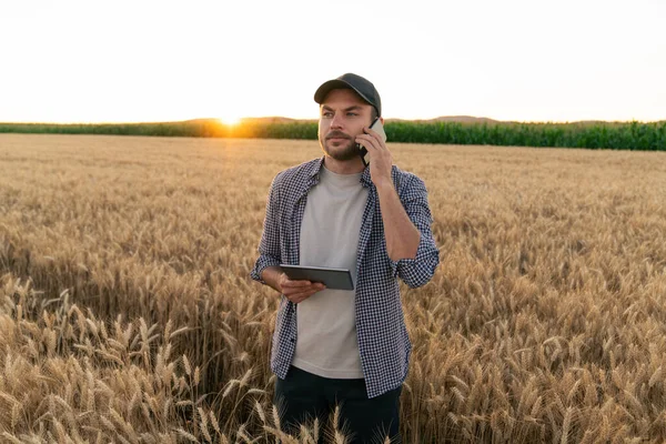 Bearded farmer with mobile phone and digital tablet in agricultural field at sunset