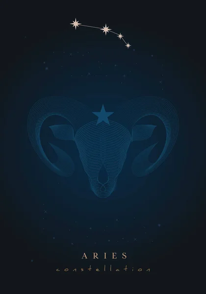 Плакат Знак Зодиака Созвездие Мрачном Фоне Звездного Космоса — стоковый вектор