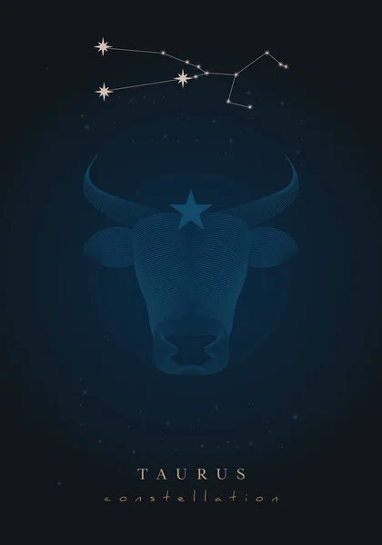 Poster Tierkreiszeichen Und Sternbild Auf Dunklem Hintergrund — Stockvektor