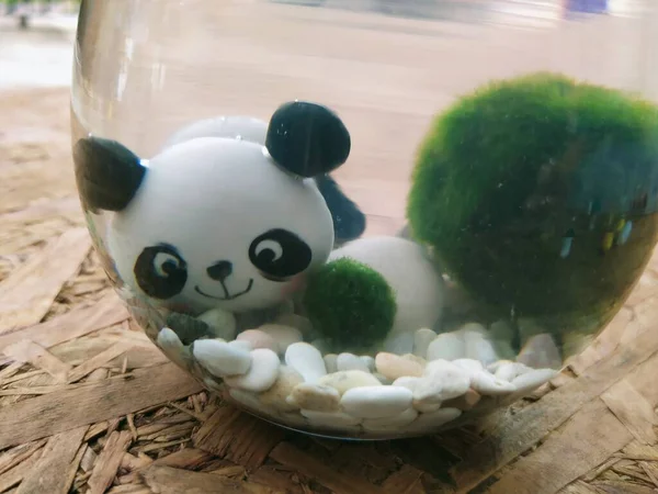 Marimo Glass Cup Filled Natural Stones Cute Miniature Panda Stock Image