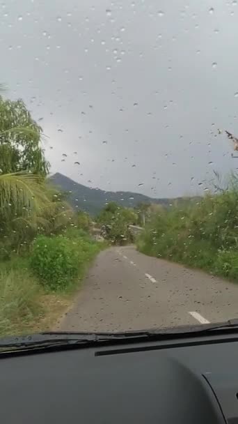 Video Tagen Inifrån Bilen Vägen Videon Visar Den Naturliga Skönheten — Stockvideo