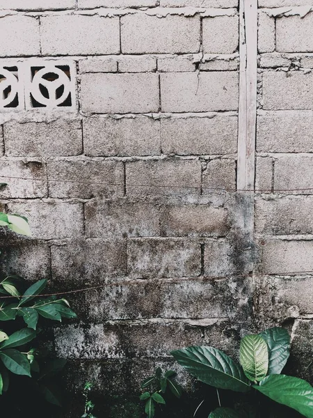 Gamla Betong Tegelvägg — Stockfoto