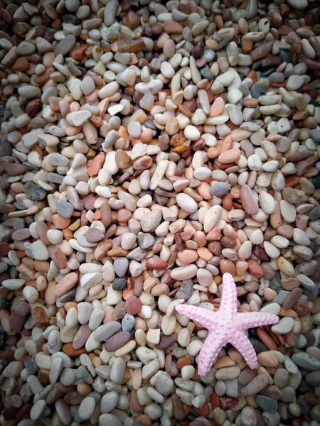 Starfish Fundo Areia Mar — Fotografia de Stock