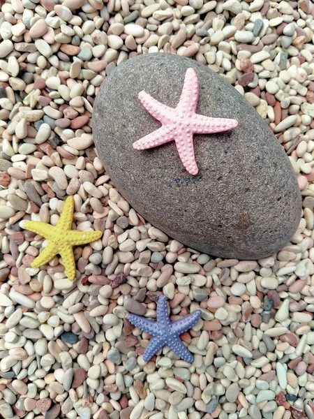 Морская Звезда Миниатюра Камне Розовый Желтый Фиолетовый Фон — стоковое фото