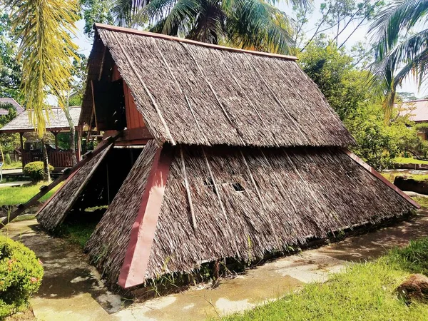 Hut Made Dry Palm Leaves Storing Coconuts Usually Found Coconut — Zdjęcie stockowe