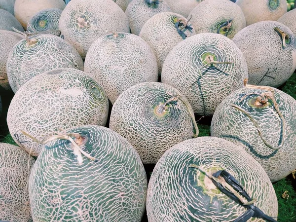 Close Pile Fresh Melons — Stok Foto