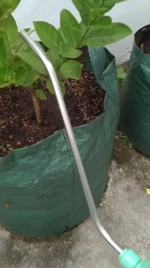 Video of watering plants in a planter bag with a watering can tosca