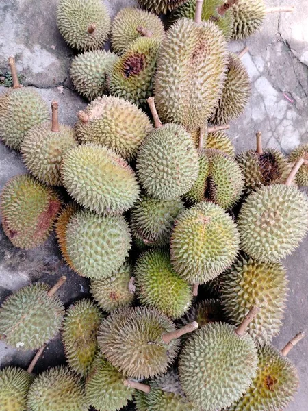 tropical fruits, durian fruit in garden