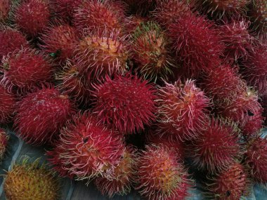fresh rambutan fruit freshly harvested from the garden.