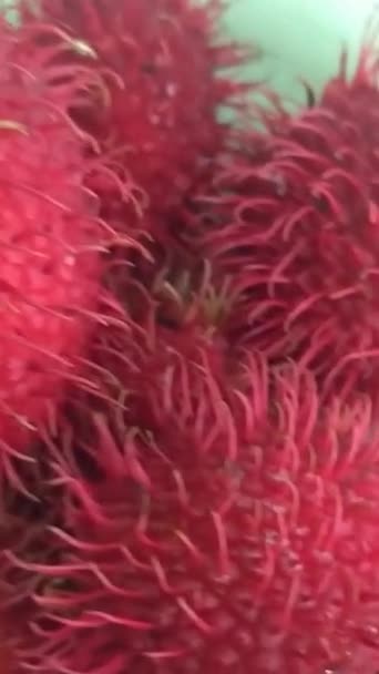 Video Red Rambutan Fruits Plate White Background – stockvideo