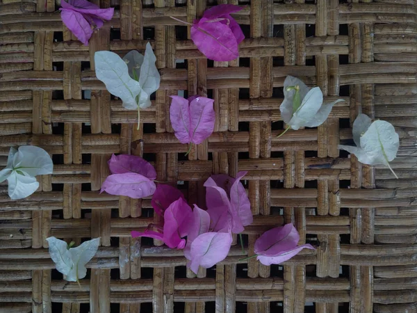 Couleurs Assorties Belles Fleurs Bougainvilliers Papier Sur Une Table Rotin — Photo