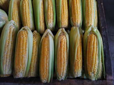 Piyasadaki tatlı mısır geleneksel pazarda satışa hazır. 