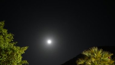 Palmiye ağaçlarının arka planında yıldızların ve ayın gece geçişi