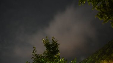 Palmiye ağaçlarının arka planında yıldızların ve ayın gece geçişi