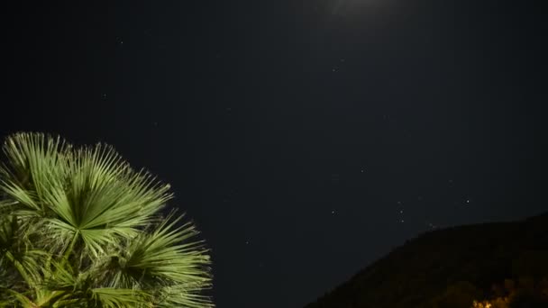 Time lapse night movement of stars and moon on a background of palm trees — Stock Video