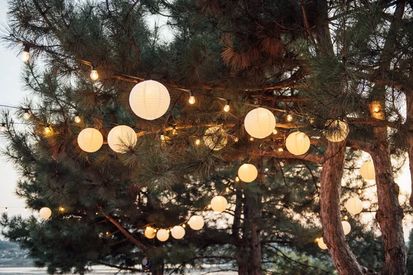Luzes decorativas de corda ao ar livre penduradas na árvore no jardim à noite — Fotografia de Stock