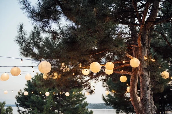 Luzes decorativas de corda ao ar livre penduradas na árvore no jardim à noite — Fotografia de Stock