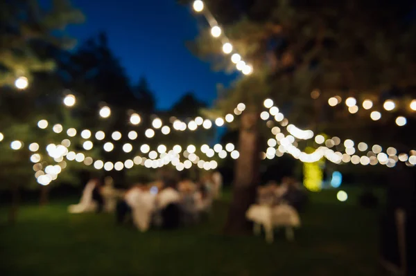 Bir düğün partisinde ormandaki dekoratif aydınlatma lambalarının bulanık görüntüsü. Kozalaklı ağaçlardaki Edison lambaları
