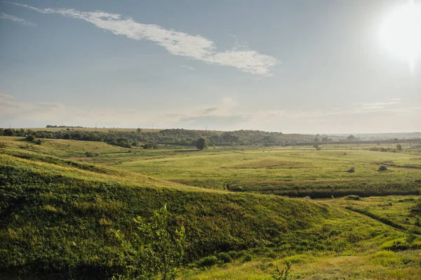 Güneş doğarken muhteşem bir manzara. Güneşe karşı tarlada açan kırmızı gelincikler, mavi gökyüzü. Baharda yabani çiçekler. Yazın çok güzel doğal bir manzara. İnanılmaz doğa. Güneşli gün.