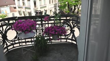 Tulle ve şehir manzaralı klasik bir balkonda güzel çiçekler..