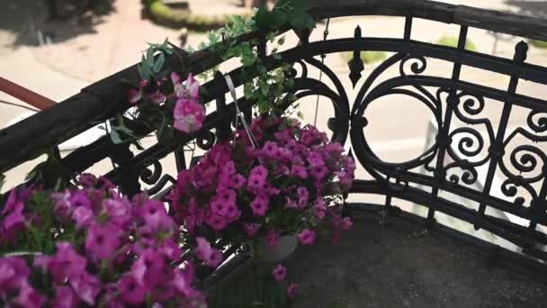 チュールと街の景色を望むヴィンテージバルコニーの美しい花 — ストック動画