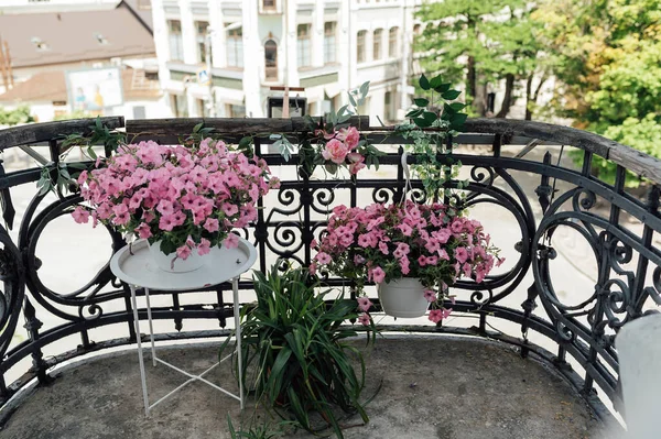 Schöne Blumen Auf Einem Vintage Balkon Mit Tüll Und Stadtblick — Stockfoto