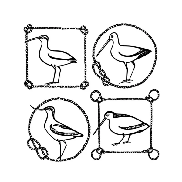 Aves playeras dibujadas a mano Ilustraciones de stock libres de derechos