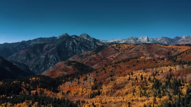 アルパインループ近くのカラフルな木々と青空と秋のユタ州の山脈の空中4Kドローン映像 — ストック動画