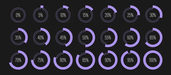 Set Circle Percentage Diagrams Meters 100 Ready Use Web Design — Stock Vector