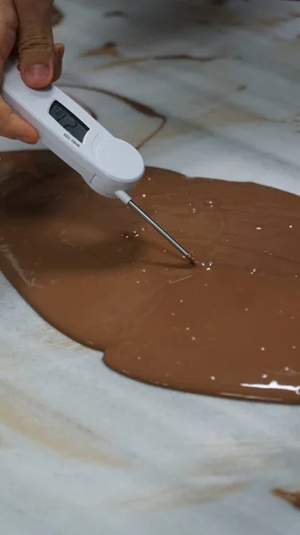 Cokelat Berbentuk Hewan Dan Pembuatannya — Stok Foto