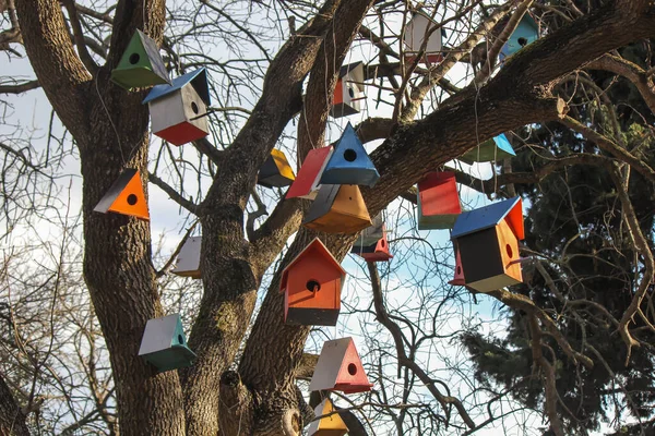 Ahşap Renkli Kuş Evleri — Stok fotoğraf