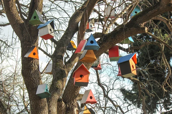 Hölzerne Und Bunte Vogelhäuschen — Stockfoto