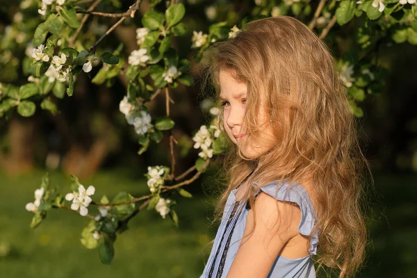 Портрет счастливой маленькой девочки с цветами вишни. Весеннее цветение — стоковое фото