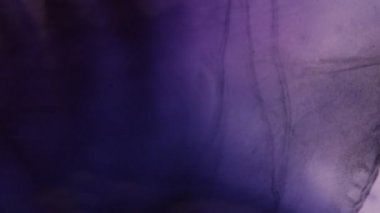 Sanatçı mürekkeple soyutlama çizer. Saç kurutma makinesi maskarayı bulanıklaştırır ve soyut bir çizim yaratır.