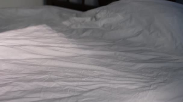 Su un letto in una camera da letto leggera i raggi del sole cadono. riflesso delle tende che si muovono dal vento sulle lenzuola accartocciate — Video Stock