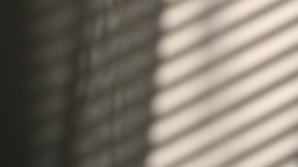 Morgensolen lyser opp rommet, skyggens bakgrunn ligger over. refleksjon av persienner på veggen, stripete skygger. langsom bevegelse av gardiner fra vinden – stockvideo