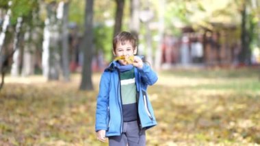 Çocuklar sonbahar parkında düşen yapraklarla oynuyorlar. Açık havada oynayan bir çocuğun orta boy fotoğrafı. Mutlu küçük çocuk sonbahar parkında düşen yaprakların üzerinde yatıyor.