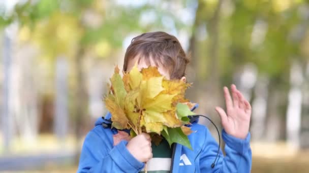 A gyerekek lehullott levelekkel játszanak az őszi parkban. Kedves általános iskolás fiú sétál a parkban ősszel. Boldog gyerekkort. Gyönyörű természet. Az ősz élénk színei. Családi séta a szabadban. — Stock videók