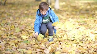 Çocuklar sonbahar parkında düşen yapraklarla oynuyorlar. Çocuklar sonbaharda parkta yürürler. Mutlu bir çocukluk. Güzel doğa. Sonbaharın parlak renkleri. Aile gezisi..