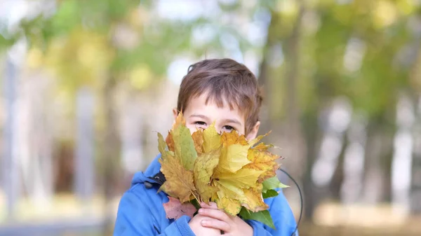 아이들은 가을 공원에서 낙엽을 가지고 놀고 있습니다. 가을 나뭇잎을 모으는 소년. 아이가 노란 단풍잎을 들고 있습니다. — 스톡 사진