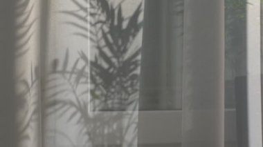 Güneş ışınları beyaz şeffaf tüllerin içinden parlıyor. Pencerede ev çiçekleri var. Rüzgardan perdelerin yavaş hareketi.