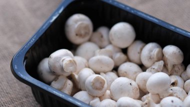 Porcini Şampiyonu mantarlar plastik tek kullanımlık tabaklarda, yakın plan.