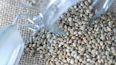 Cam bir kavanozda kenevir tohumları çuval bezinden kumaş arkaplanı. Marihuana Kenevir makrosunun yakın görüntüsü